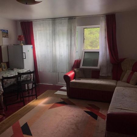 Garsoniera Lazaroiu Apartamento Băile Govora Exterior foto